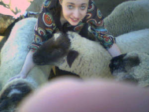 Sheep2.jpg